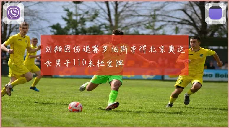 刘翔因伤退赛罗伯斯夺得北京奥运会男子110米栏金牌