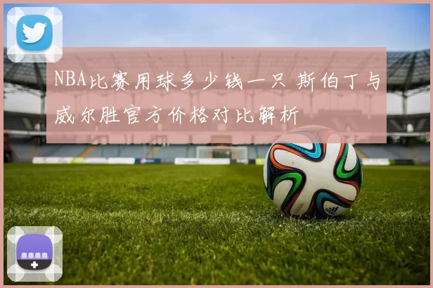 NBA比赛用球多少钱一只 斯伯丁与威尔胜官方价格对比解析