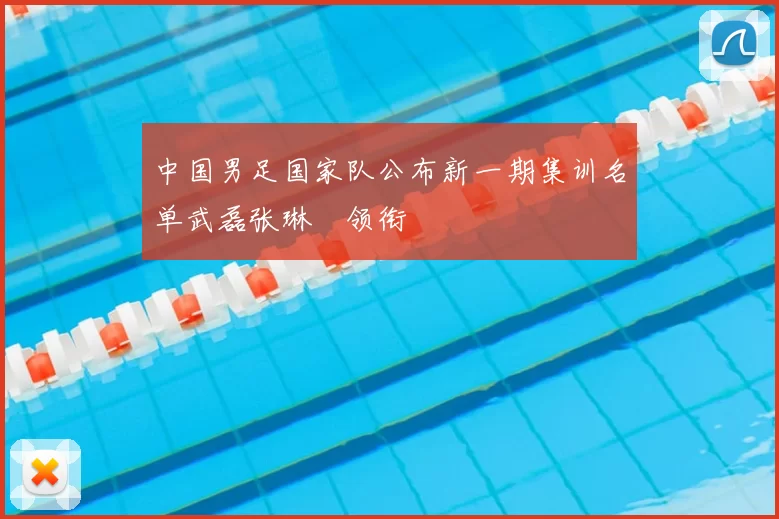 中国男足国家队公布新一期集训名单武磊张琳芃领衔