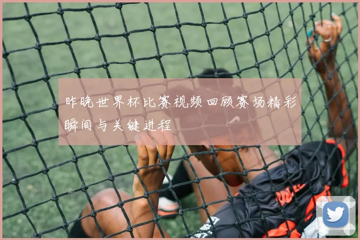 昨晚世界杯比赛视频回顾赛场精彩瞬间与关键进程