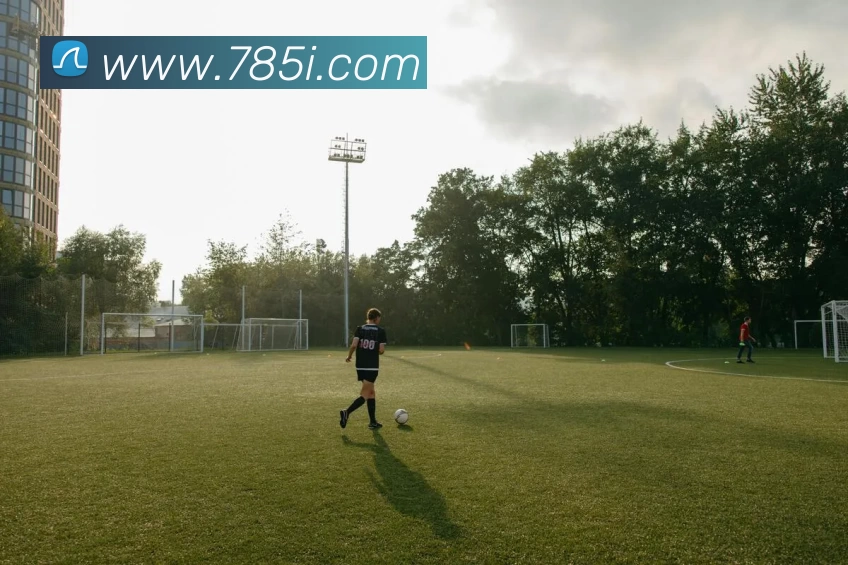 多媒体互动体验